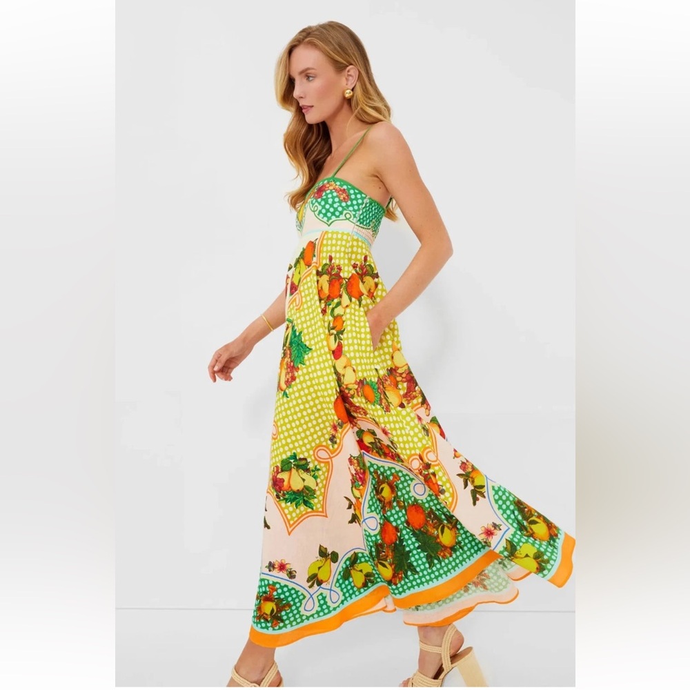 Caroline Constas Fruit Maxi Dress - Picture 2 of 5